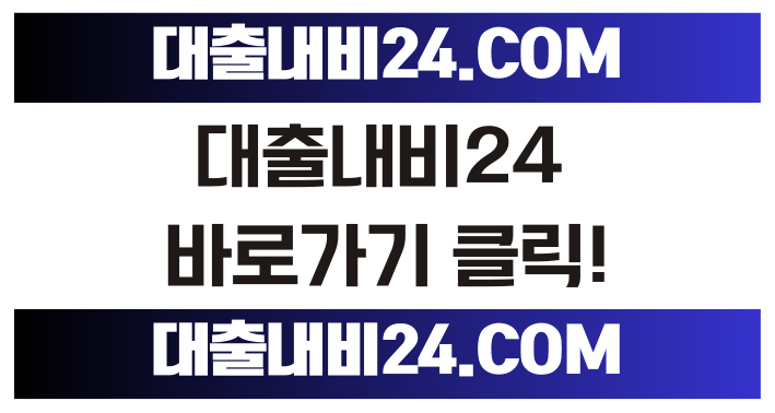 대출내비24